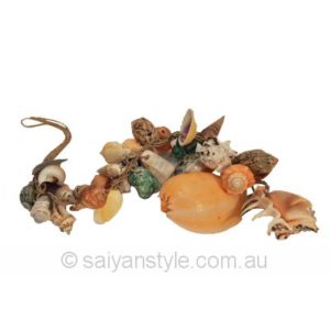 Assorted Shells on String