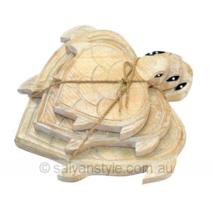 Turtle Bundle set of 3 (with hooks)