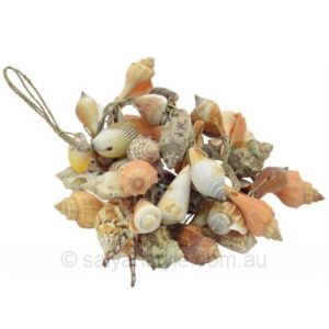 Garland of Mixed Shell