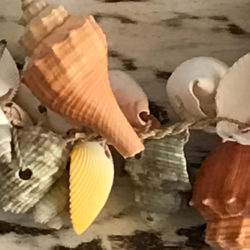 SeaShell Decor